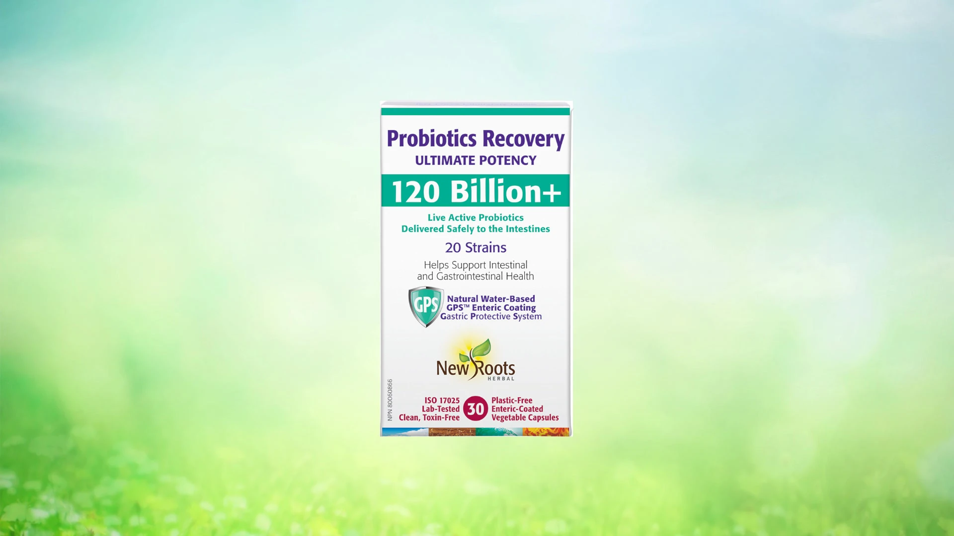 Thumbnail for Probiotics Recovery style=